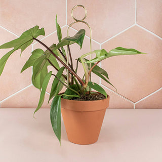 Mini Plant Stake - Pompom - Gold