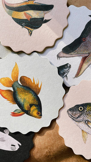 Coaster Set Fish đ đđĄ