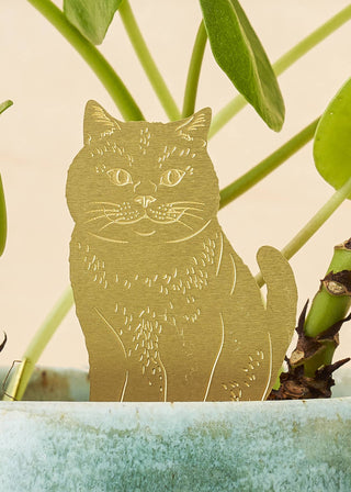 Cat Plant Animal