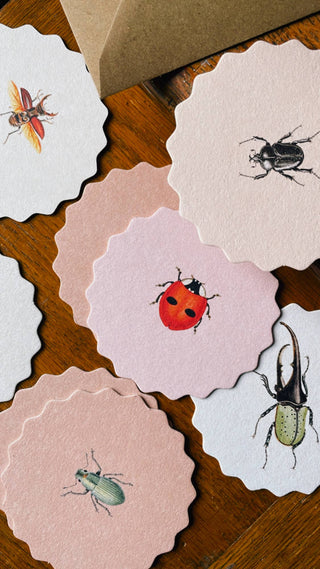 Coaster Set Insects đđđȘČ