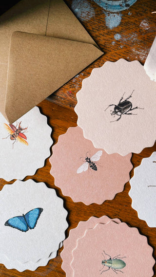 Coaster Set Insects đđđȘČ