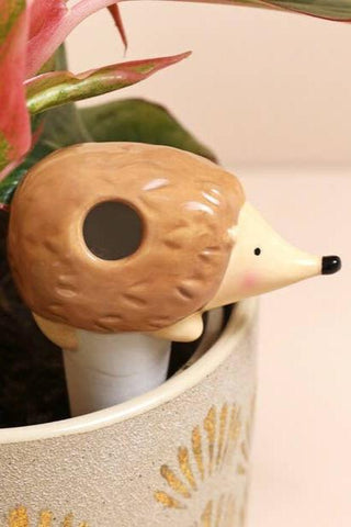 Hedgehog Plant Watering Spike