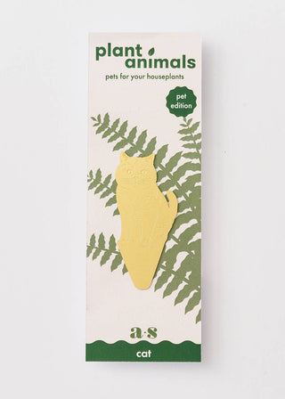 Cat Plant Animal