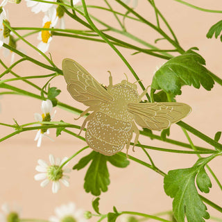 Bumblebee Plant Animal