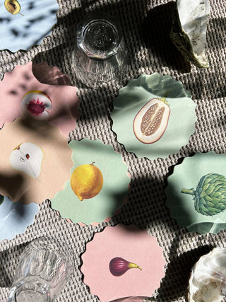Coaster Set Fruit & Veg đđ„đ