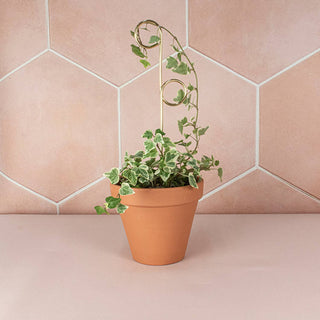 Mini Plant Stake - Perch - Gold