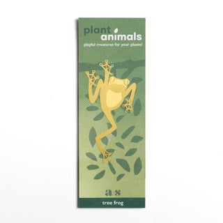 Tree Frog Plant Animal