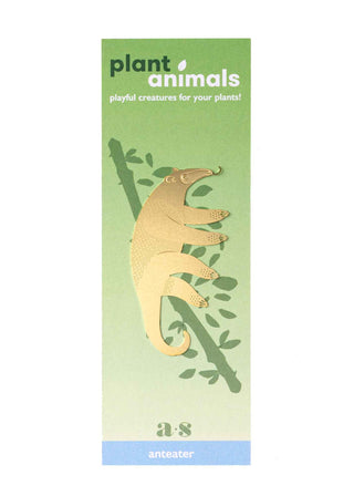 Anteater Plant Animal