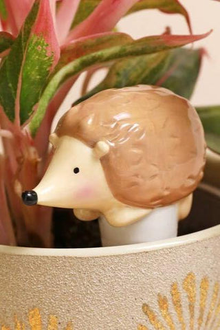 Hedgehog Plant Watering Spike