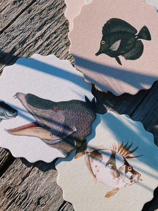 Coaster Set Fish đ đđĄ