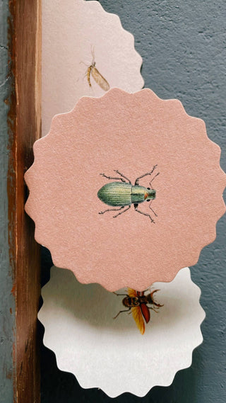 Coaster Set Insects đđđȘČ