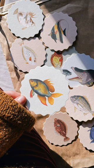 Coaster Set Fish đ đđĄ