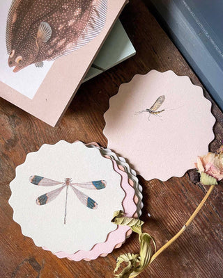 Coaster Set Insects đđđȘČ
