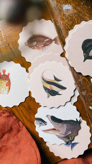 Coaster Set Fish đ đđĄ