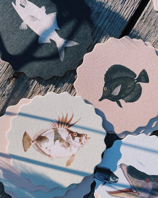 Coaster Set Fish đ đđĄ