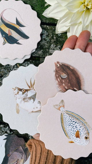 Coaster Set Fish đ đđĄ