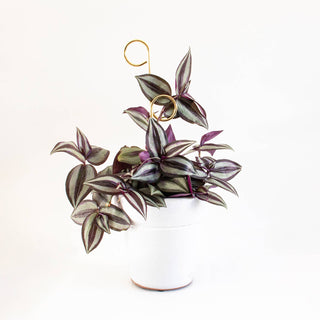 Mini Plant Stake - Perch - Gold
