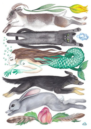 Familjen By Nathalie V Zimmerman