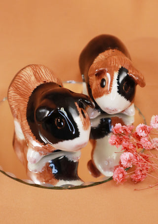 Multicolored guinea pigs salt and pepper shakers