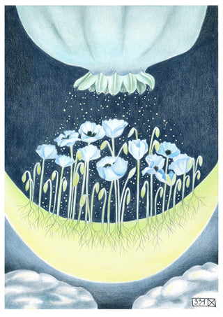 Månodling By Nathalie V Zimmerman