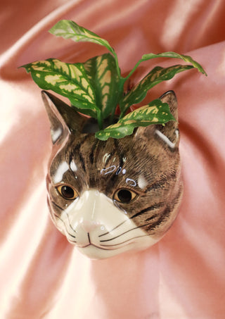 Millie The Cat Small Wallvase