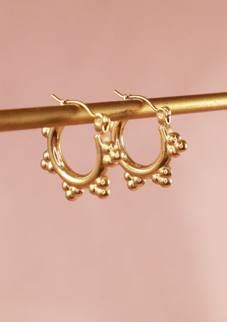 Ornamental Hoops