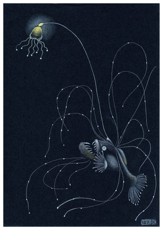 På djupet By Nathalie V Zimmerman