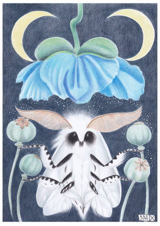 Shivas maracas By Nathalie V Zimmerman