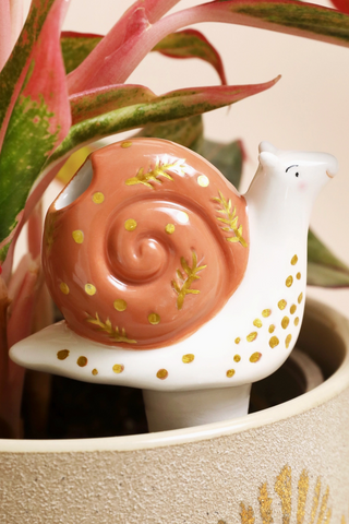 Snail Plant Watering Spike