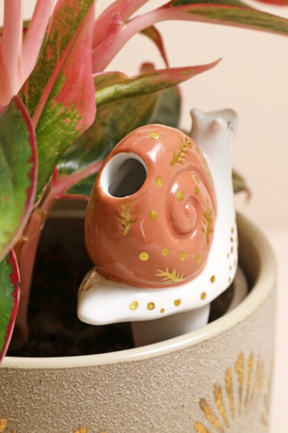 Snail Plant Watering Spike