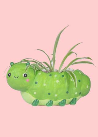 Mini Caterpillar Planter