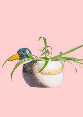 Mallard Duck Planter