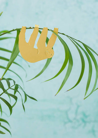 Sloth Plant Animal
