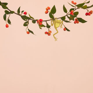 Tree Frog Plant Animal