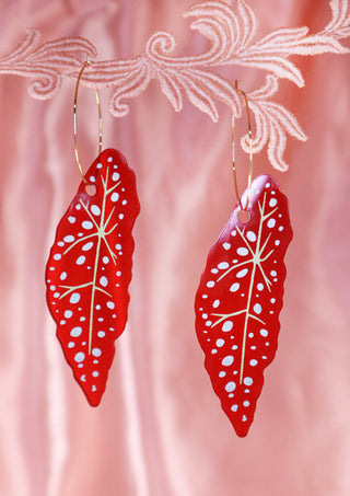 Begonia Hoops