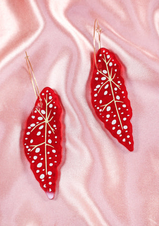 Begonia Hoops