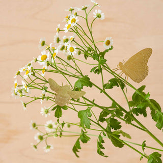 Bumblebee Plant Animal