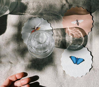 Coaster Set Insects đđđȘČ