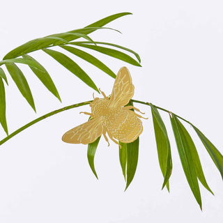 Bumblebee Plant Animal