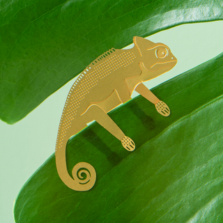 Chameleon Plant Animal