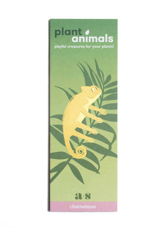 Chameleon Plant Animal
