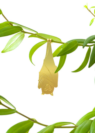 Fruit Bat Plant Animal
