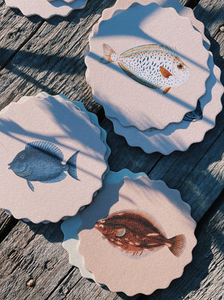 Coaster Set Fish đ đđĄ