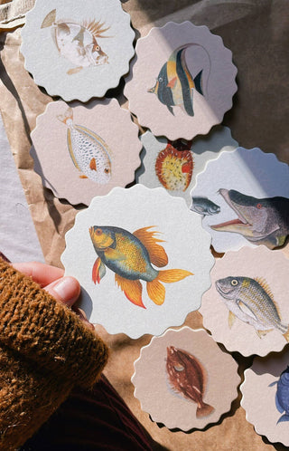 Coaster Set Fish đ đđĄ
