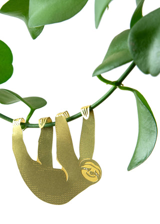 Sloth Plant Animal