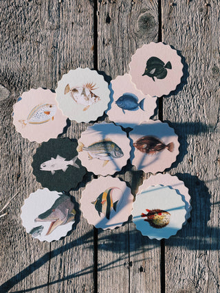 Coaster Set Fish đ đđĄ