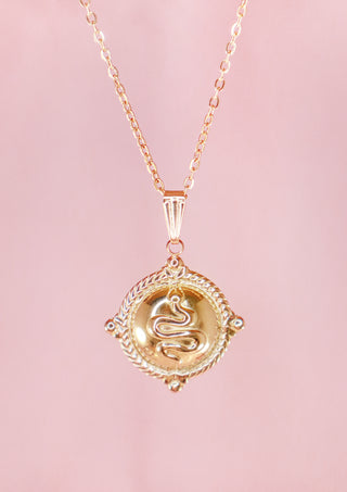 Snake Shield Silver Necklace