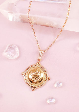 Snake Shield Silver Necklace