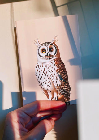 Owl Postcard by 30x40
