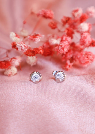 Tiny sea shell stud earrings
